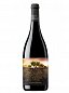 La Garnacha Olvidada de Aragón